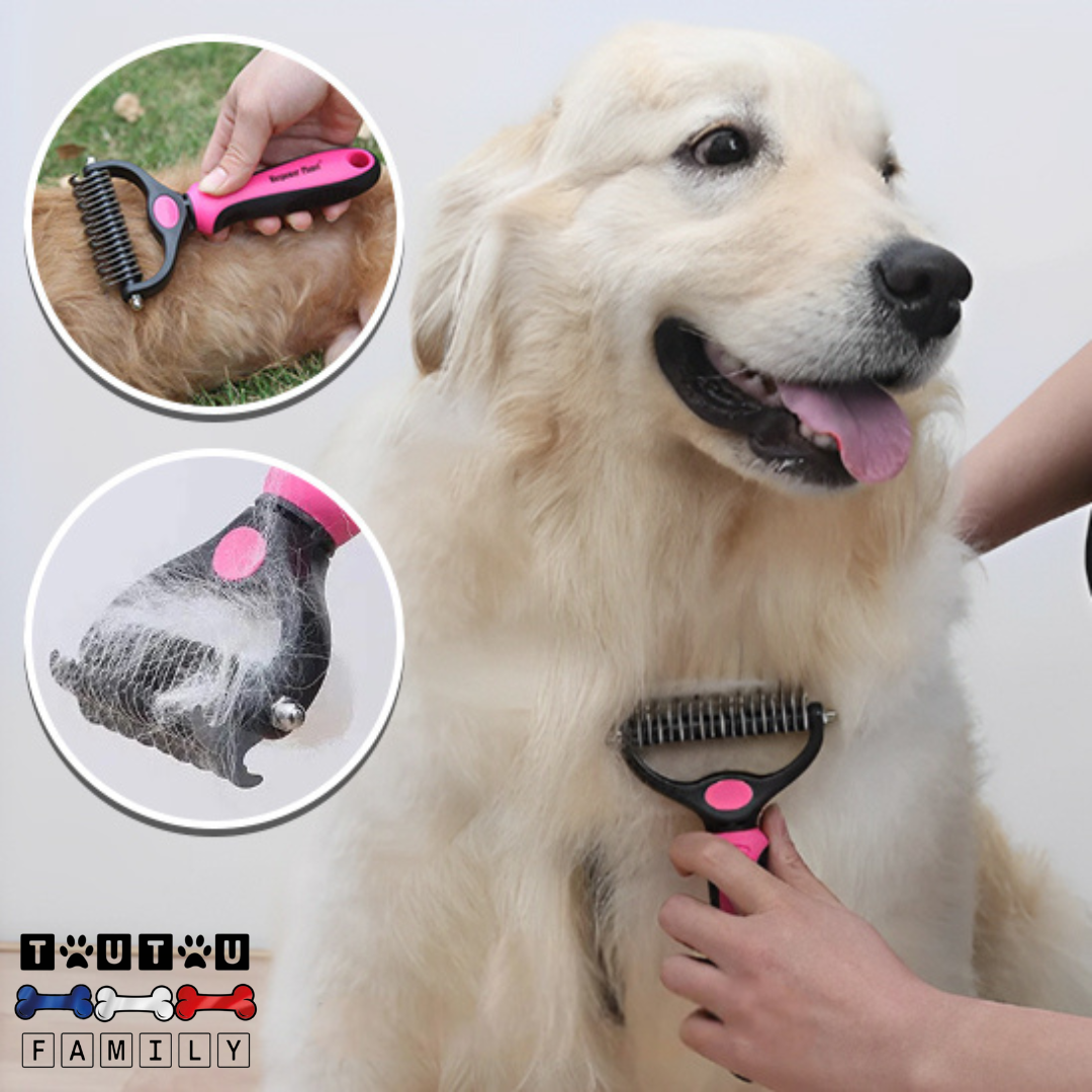 Brosse pour chien à poils longs - DémêleToutou™