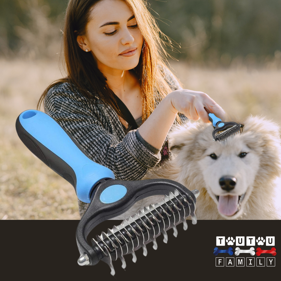 Brosse pour chien à poils longs - DémêleToutou™