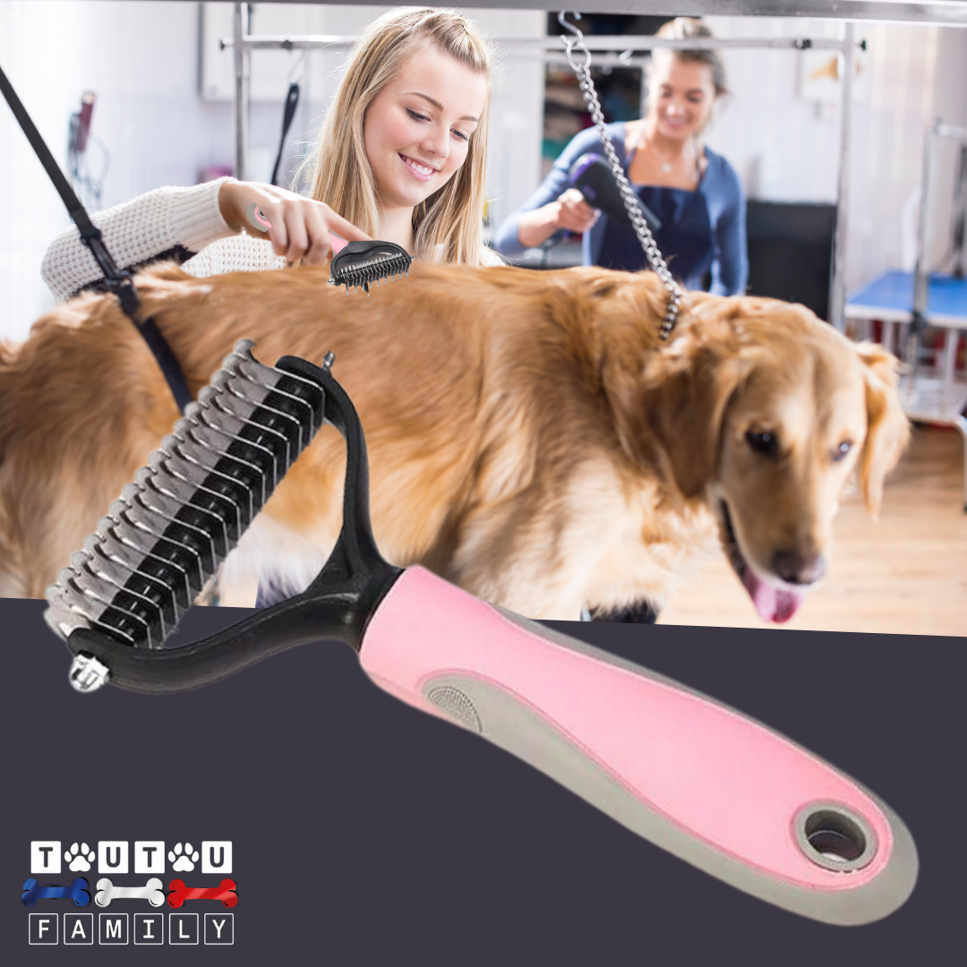 Brosse pour chien à poils longs - DémêleToutou™