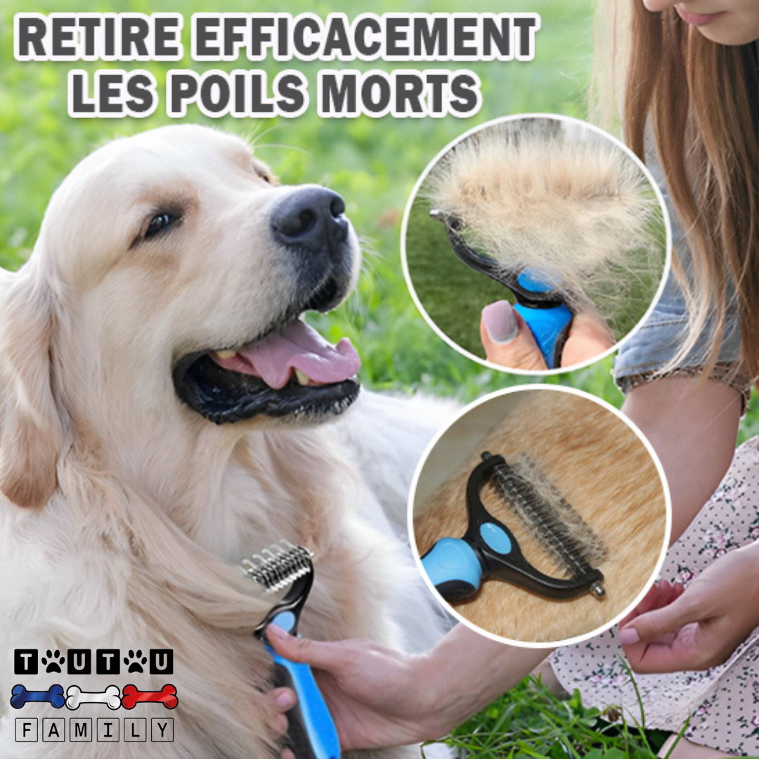 Brosse pour chien à poils longs - DémêleToutou™