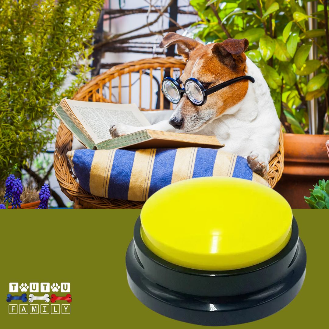 Buzzer-pour-chien-jaune-bouton-de-communication-chien-enregistrable