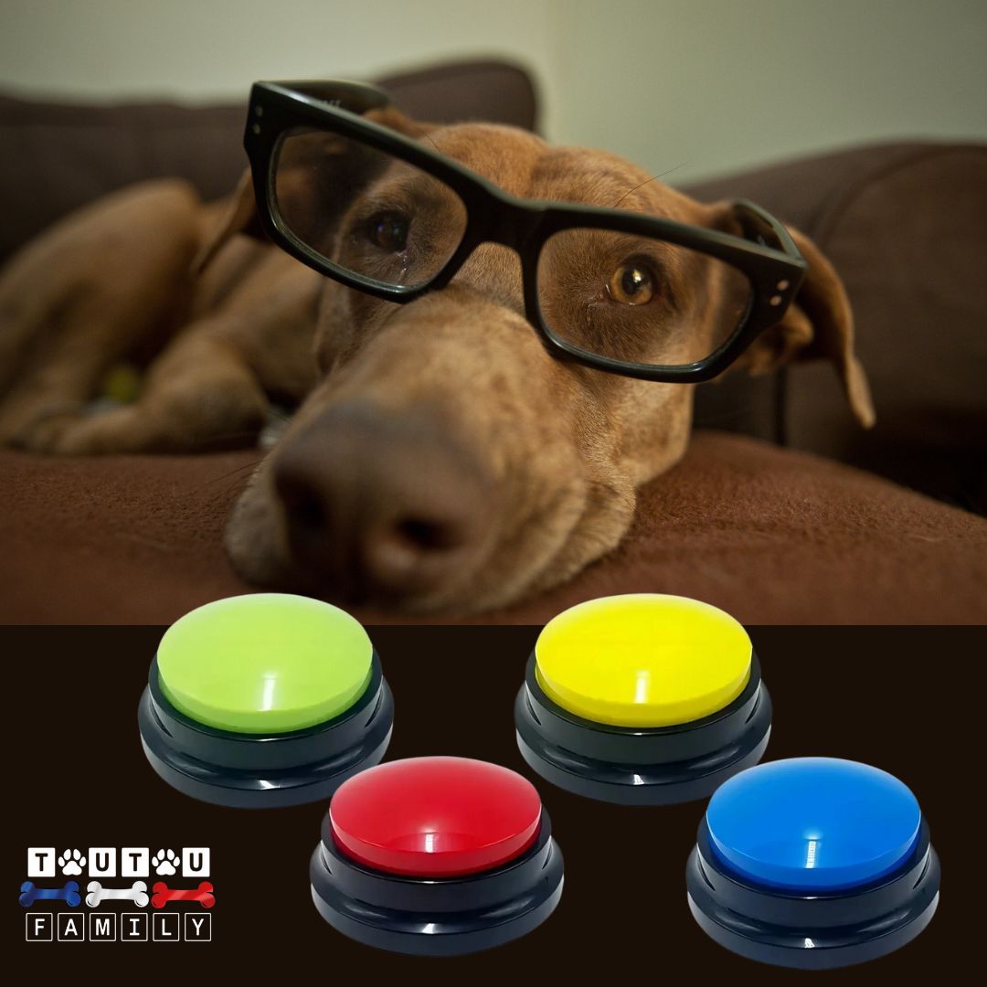 Buzzer-pour-chien-pack-de-4-bouton-de-communication