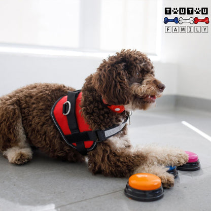 Buzzer-pour-chien-un-chien-de-sauvetage-qui-utilise-les-boutons-de-communication-pour-chien-pour-exprimer-ses-besoins-jeu-éducatif