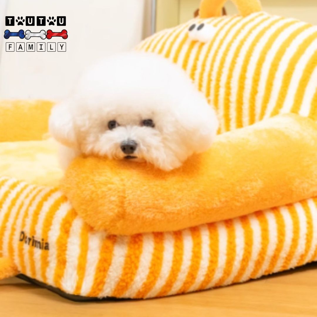 Canapé-chien-déhoussable-accoudoir-un-chien-couché-sur-l-accoudoir-cylindrique-en-forme-de-traversin-lavable-en-machine