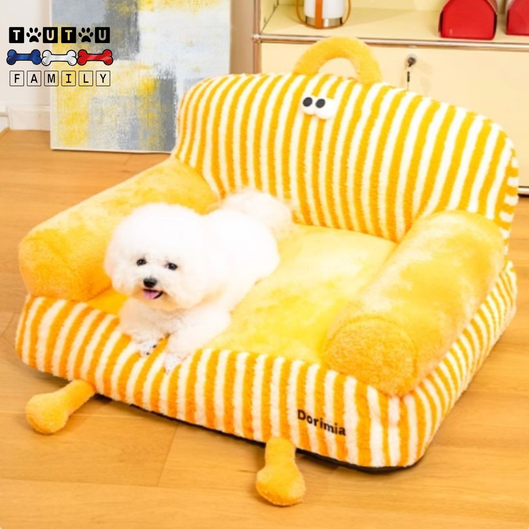 Canapé-chien-lavable-un-bichon-couché-de-tout-son-long-sur-le-canapé-douillet-confortable-et-moelleux-déhoussable-et-lavable-en-machine