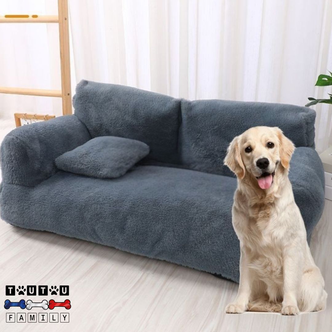 canape-chien-XXL-dehoussable-un-golden-retriever-devant-son-canapé-pour-chien-géant-spacieux-confortable-déhoussable-lavable-en-machine-housse-en-velours-doux-et-très-résistant-aux-griffes-morsures