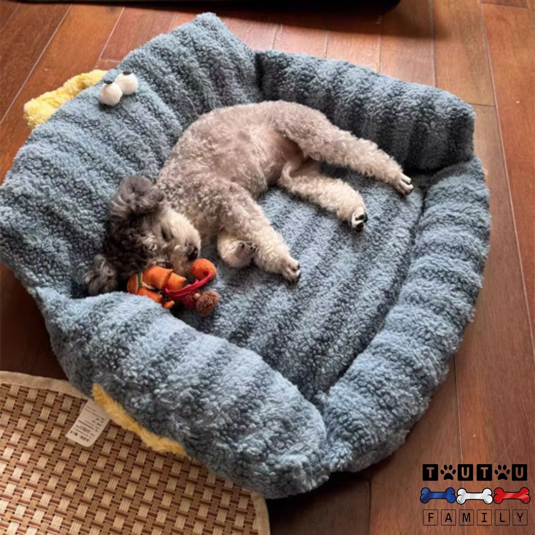 canape-petit-chien-confort-un-chien-de-petite-taille-qui-dort-dans-le-canapé