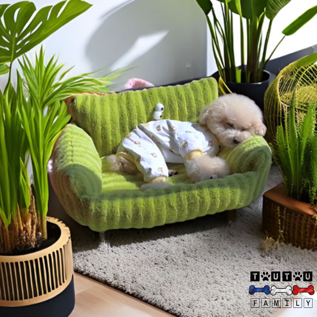 canape-petit-chien-ergonomique-un-chien-de-petite-taille-confortablement-dans-son-canapé-lit