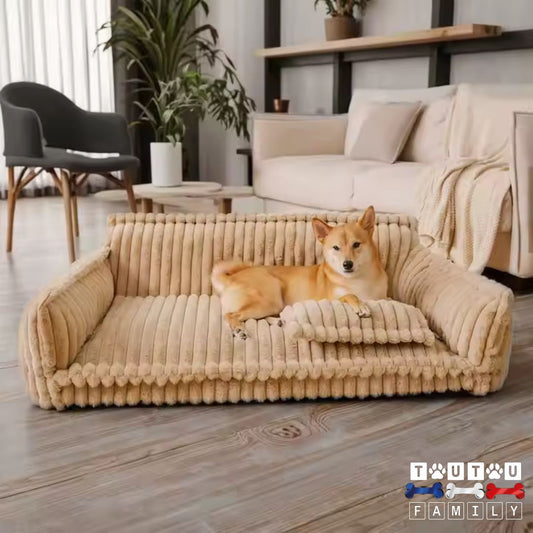 Canapé-pour-chien-douillet-xxl-déhoussable-un-chien-de-taille-moyenne-sur-son-grand-canapé-au-toucher-velours-de-couleur-marron-clair-dans-le-salon