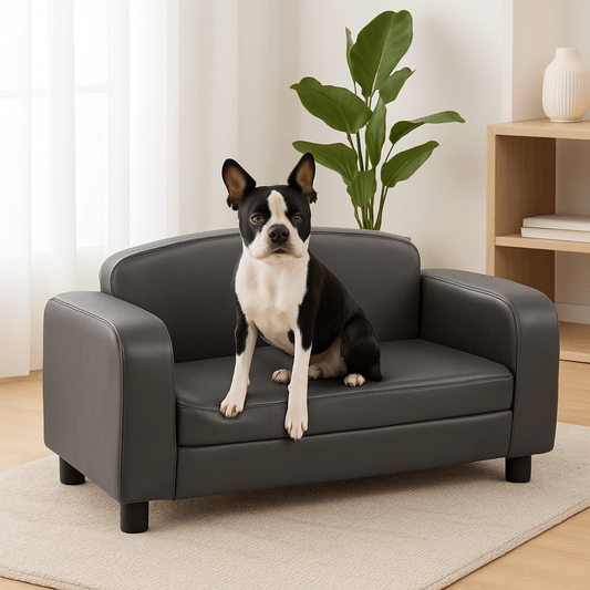 Canapé-pour-chien-imperméable-pour-petit-chien-et chien-moyen-un chien assis sur le canapé avec son coussin en mousse ergonomique déhoussable et lavable avec pied en bois massif-un chien de petite taille assis sur le canapé gris avec 2 accoudoirs dans le salon de l'appartement
