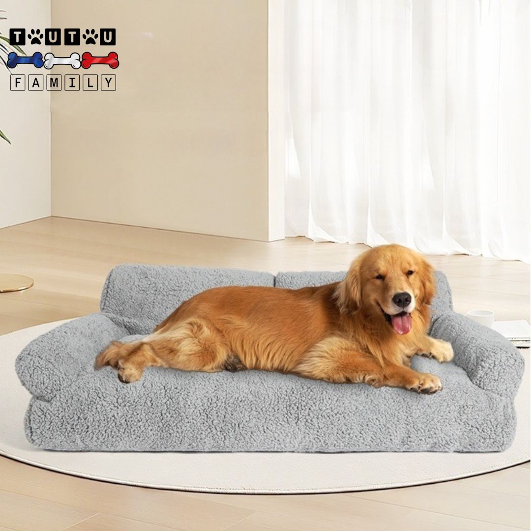 Canapés-pour-chiens-un-golden-retriever-couché-de-tout-son-long-confortablement-sur-son-canapé-moelleux-et-chaud-XXL-dans-le-salon