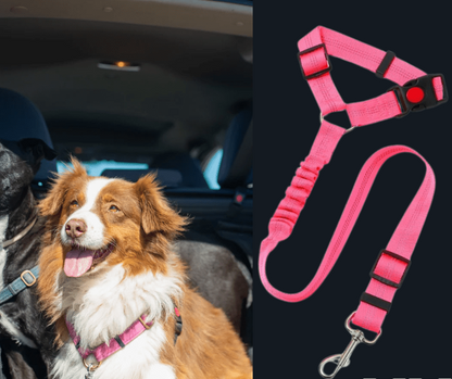Ceinture-de-sécurite-pour-chien-2-en-1-laisse-voiture extensible, sangle robuste en nylon et clips  facile pour l'accrocher au appuie-tête des sièges, réglable et adaptable à tous véhicule-gros plan sur la ceinture de sécurité voiture universelle extensible, robuste pour chien avec son crochet rotatif à 360° et sangle pour appuie tête réglable et son clips sécurisé pour une installation facile et rapide, utilisable en laisse d'appoint de couleur rose