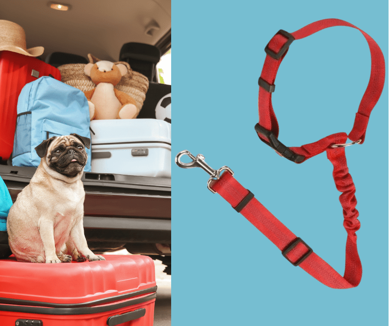 Ceinture-de-sécurite-pour-chien-2-en-1-laisse-voiture extensible, sangle robuste en nylon et clips  facile pour l'accrocher au appuie-tête des sièges, réglable et adaptable à tous véhicule-gros plan sur la ceinture de sécurité voiture universelle extensible, robuste pour chien avec son crochet rotatif à 360° et sangle pour appuie tête réglable et son clips sécurisé pour une installation facile et rapide, utilisable en laisse d'appoint de couleur rouge