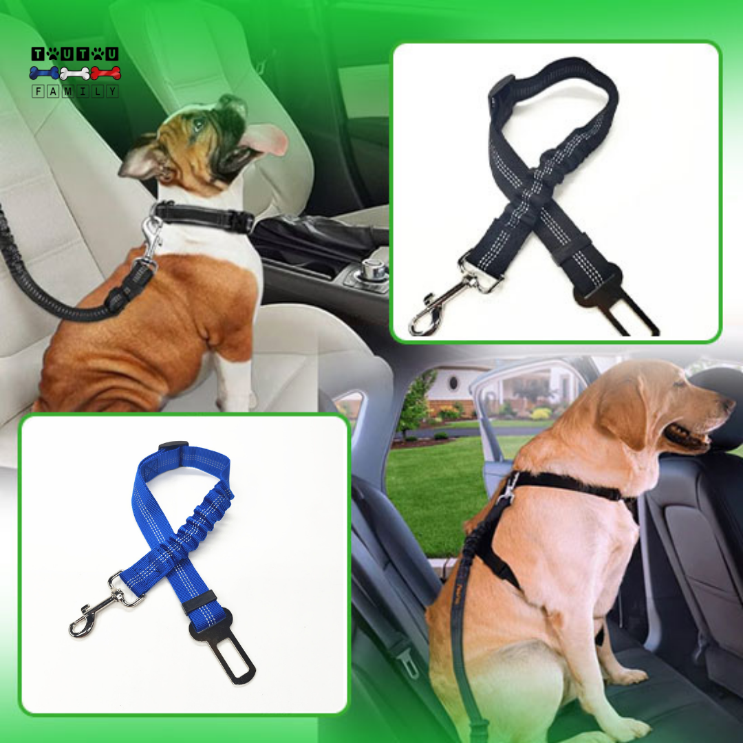 Ceinture de sécurité chien - ClipToutou™