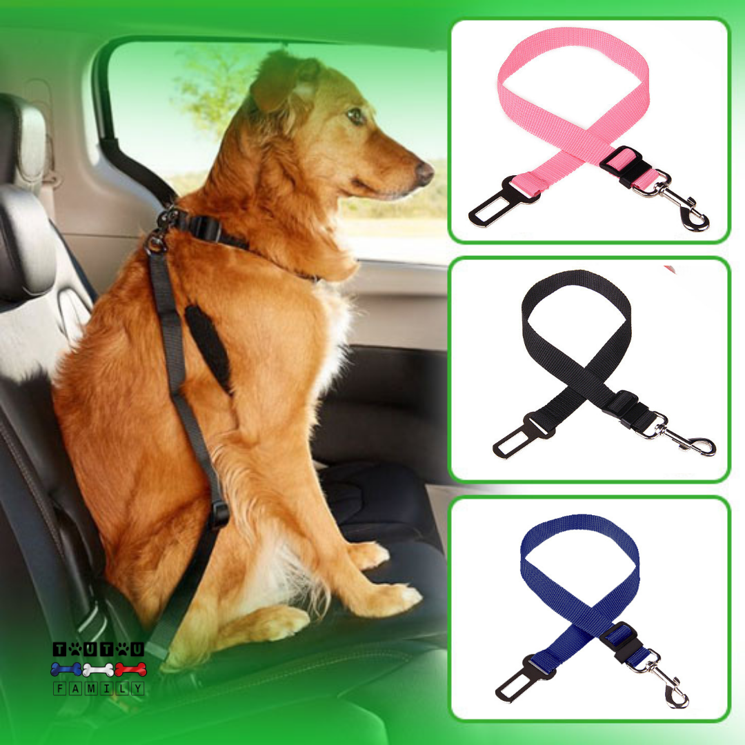 Ceinture de sécurité chien - ClipToutou™