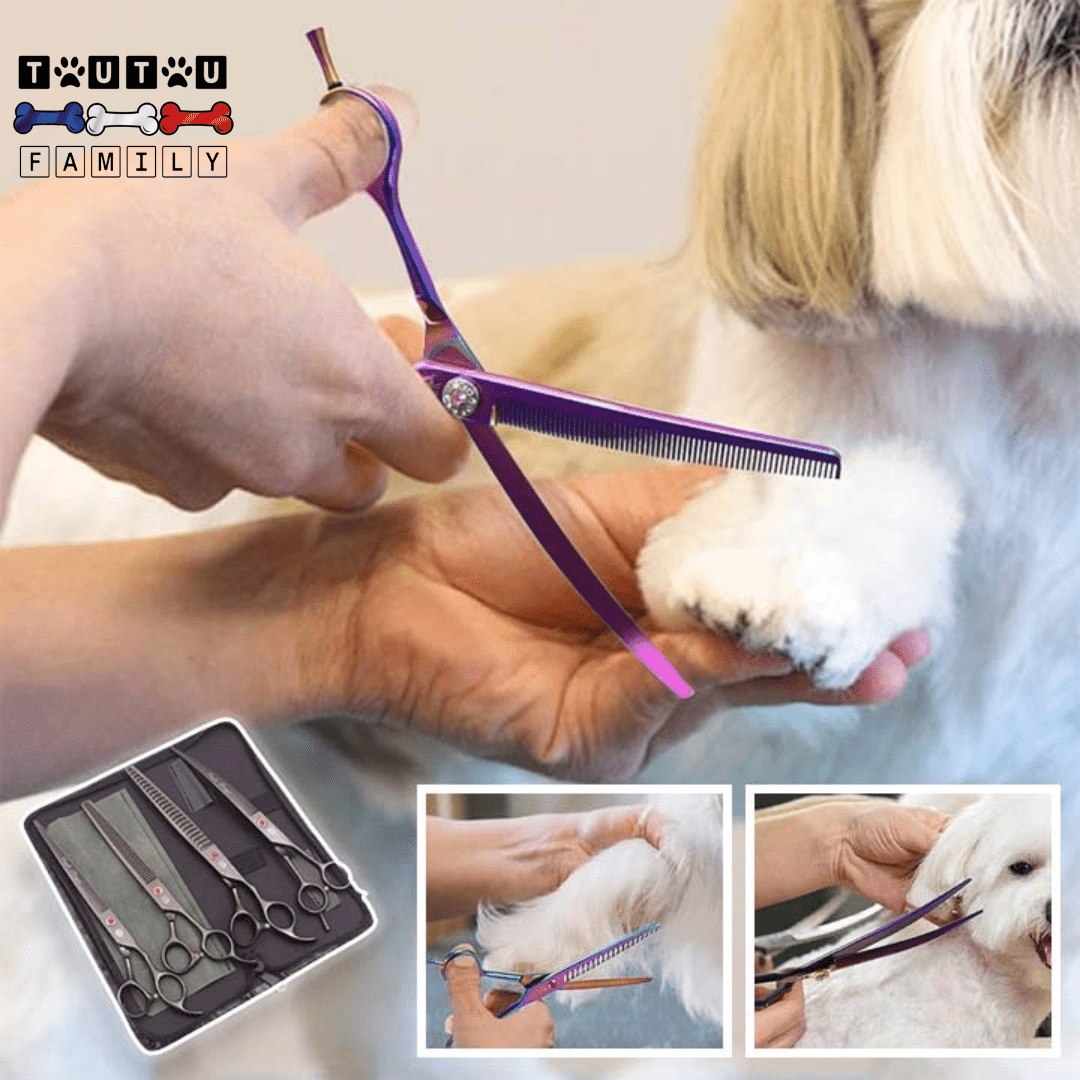 Ciseaux pour chien - CoupeToutou™