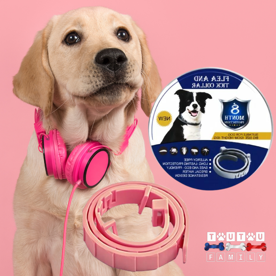 Collier anti puce pour chien - ProtecToutou™