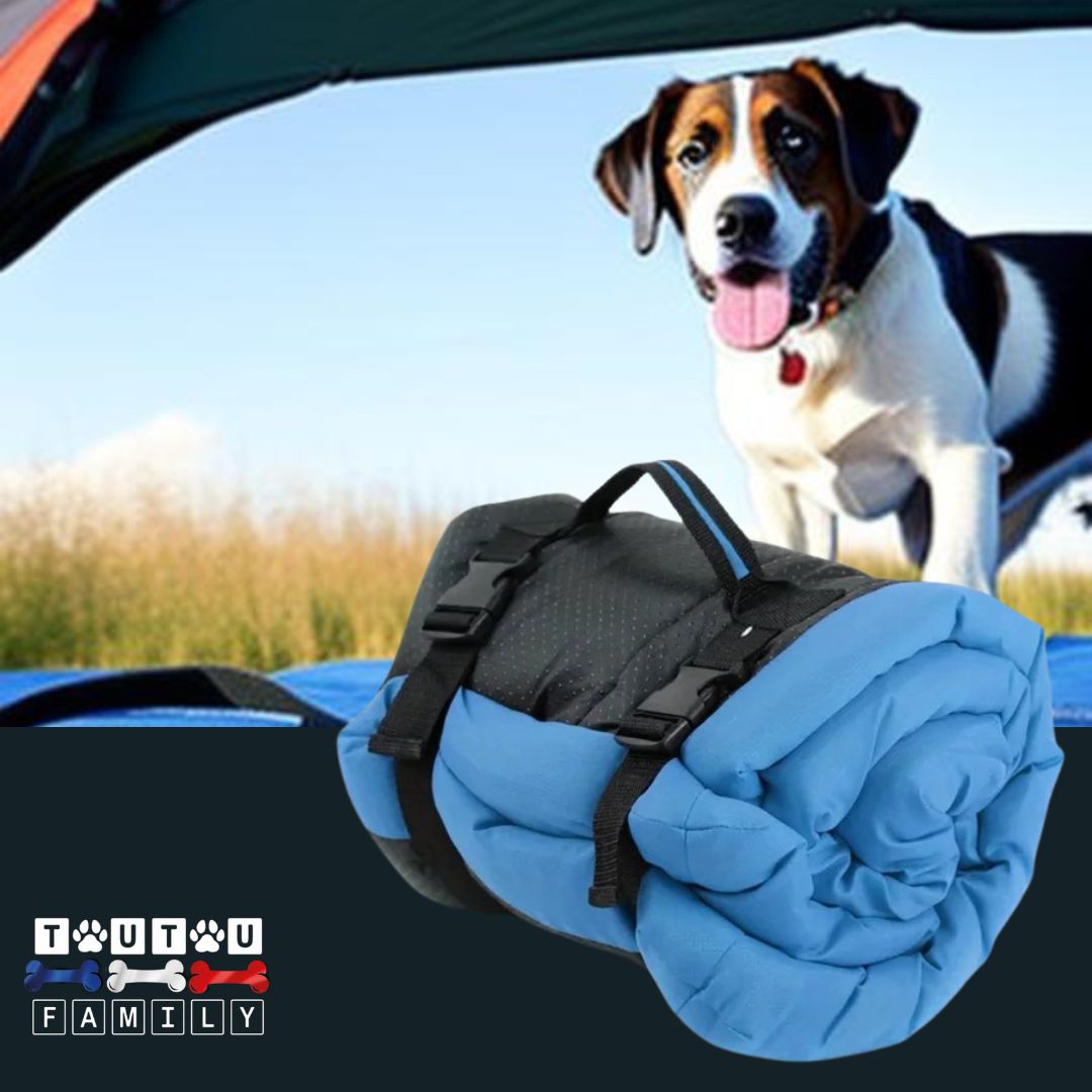 Couchage-pour-chien-pliable-avec-sangles-bleu un petit chien dans sa tente avec son tapis pliable de couleur bleu 100% imperméable et rembourré en coton 