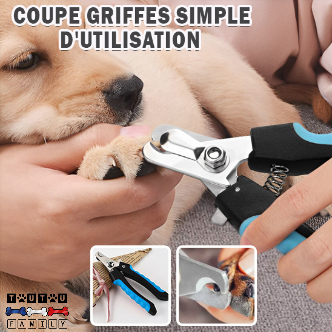 Coupe ongle pour chien - CoupeToutou™