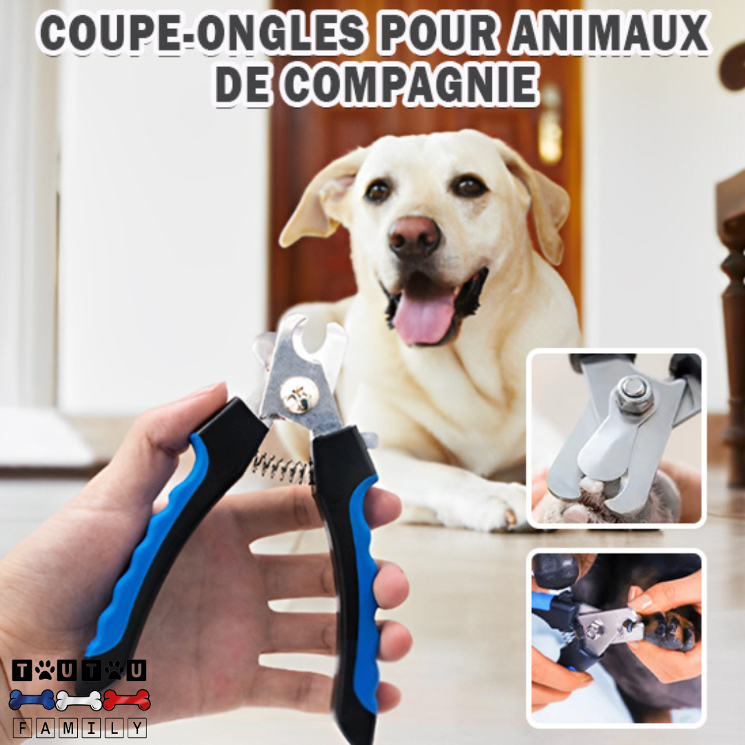 Coupe ongle pour chien - CoupeToutou™