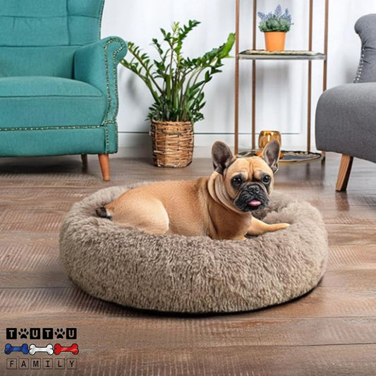 coussin-chien-coton-un-bouledogue-heureux-et-détendu-dans-son-coussin-doux-et-rembourré-de-couleur-marron-dans-le-salon-de-la-maison