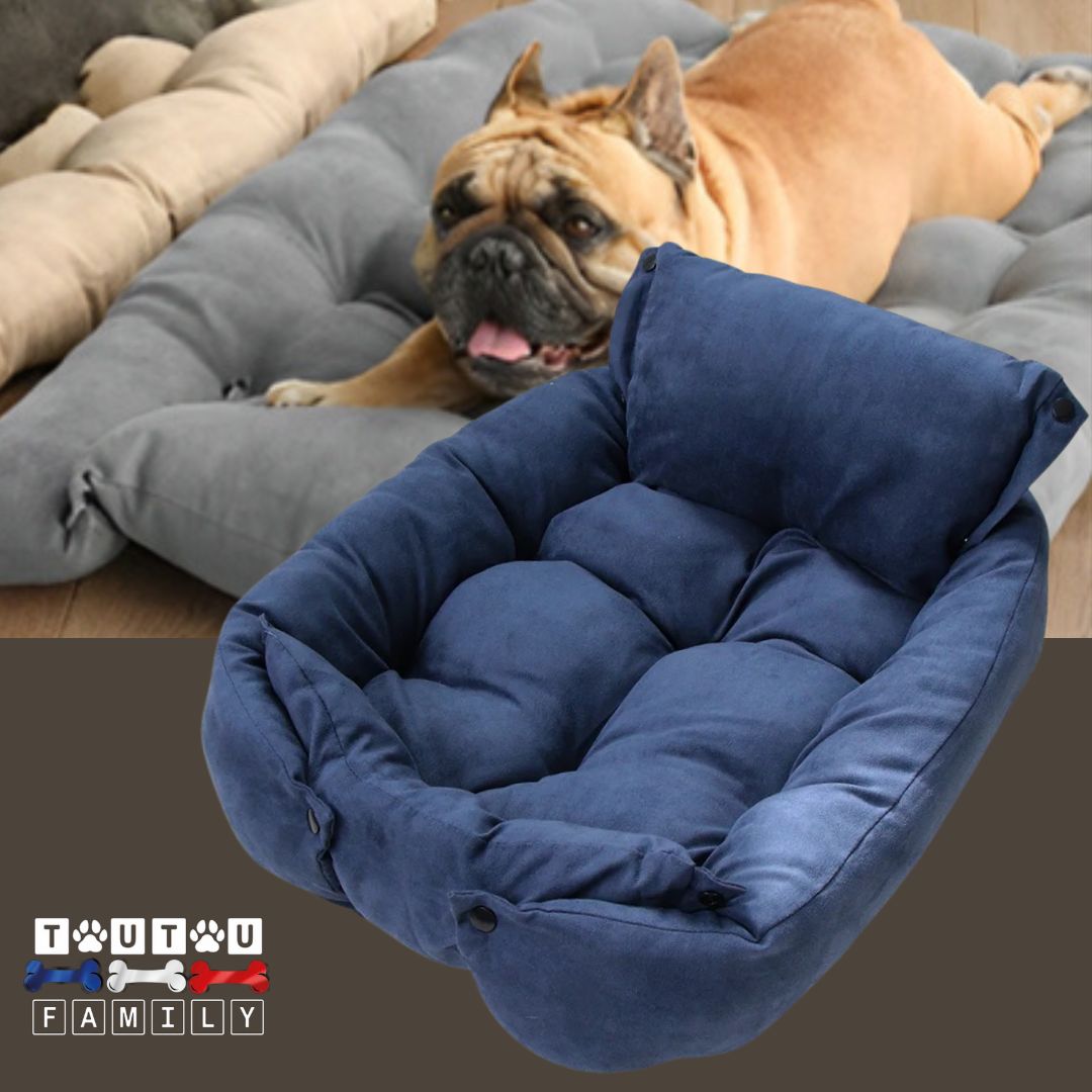 coussin-chien-modulable-bleu-un-bouledogue-couché-sur-le-coussin