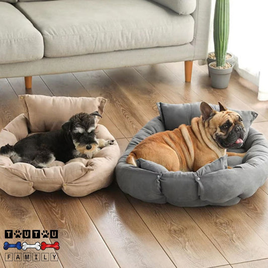 coussin-chien-3-en-1-ergonomique-un-bouledogue-français-et-un-chien-de-petite-taille-couché-dans-leur-coussin-bleu-et-marron