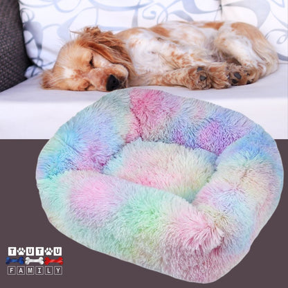 Coussin chien respirant - BlottiToutou™