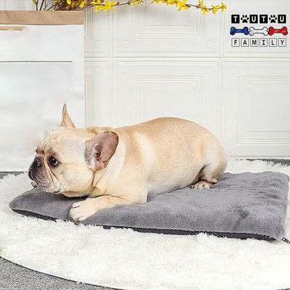 Coussin-dehoussable-chien-transportable