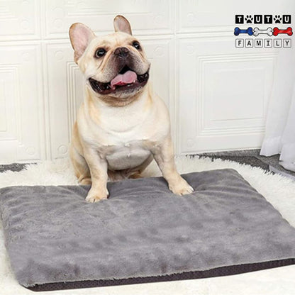 Coussin-dehoussable-chien-lavable-en-machine-bouledogue-pour-chien-assis-sur-le-coussin-doux-et-confortable
