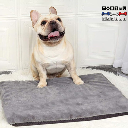 Coussin-dehoussable-chien-lavable-en-machine-bouledogue-pour-chien-assis-sur-le-coussin-doux-et-confortable