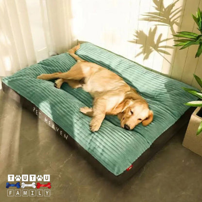 coussin-dehoussable-chien-impermeable-anti-derapant-un-labrador-couleur-sable-allongé-de-toutson-long-sur-le-matelas