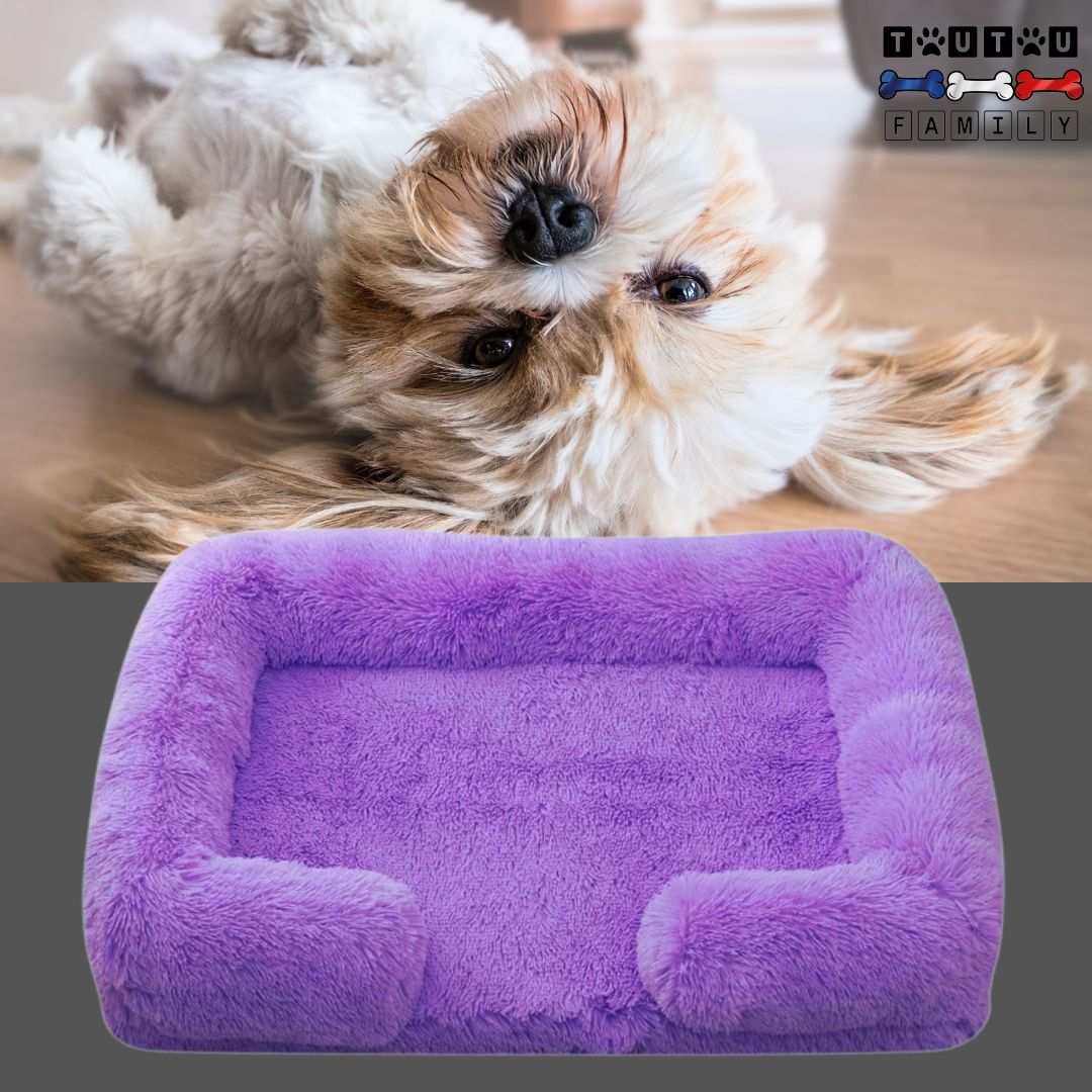 coussin-orthopedique-chien-violet-ergonomique-rectangulaire_bichon-maltais-couché-sur-le-dos-tout-mignon