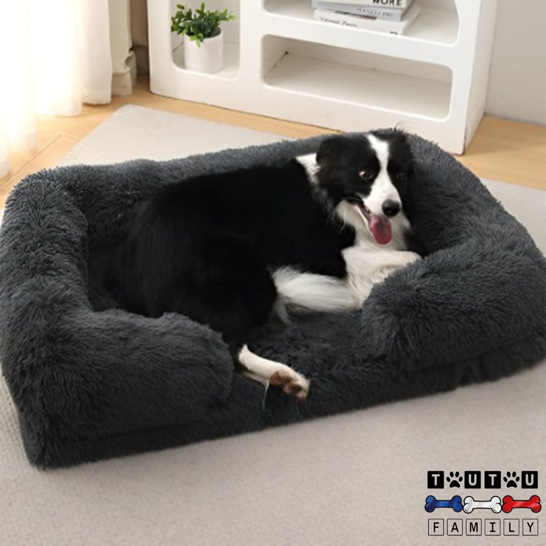 coussin-orthopedique-chien-agé-préserve-les-muscles-et-les-articulations-du-chien