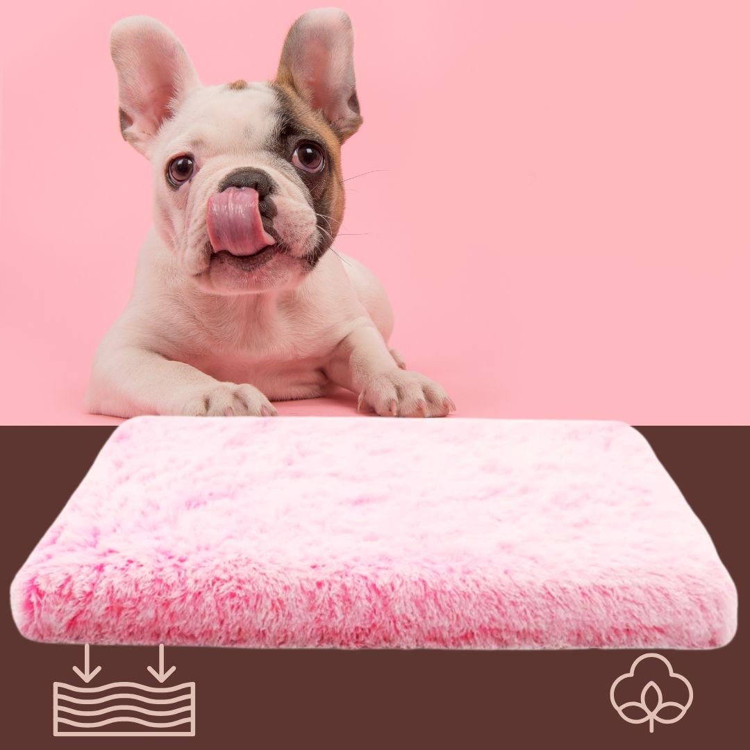 coussin-orthopedique-pour-chien-rose-pour-chien-de-petite-taille