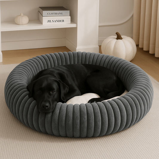coussin-pour-chien-xl-apaisant-lavable en forme de donut-un labrador noir couché confortablement en boule dans le coussin anti stress , sa tête reposant sur le rebord moelleux et épais-rembourrage 100% coton et éponge antidérapant gris dans le salon de l'appartement