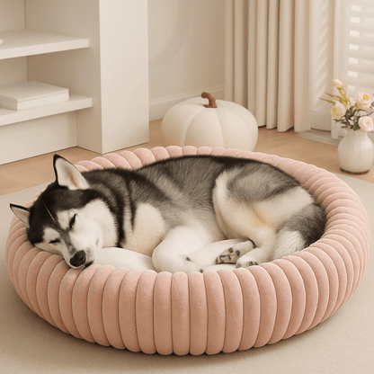 Coussin-pour-chien-xl-ergonomique-un husky couché en boule dans son panier anti stress, sa tête reposant délicatement sur le rebord surélevé épais et douillet eu rembourrage 100% coton PP et toucher velours de couleur rose dans le salon de l'appartement