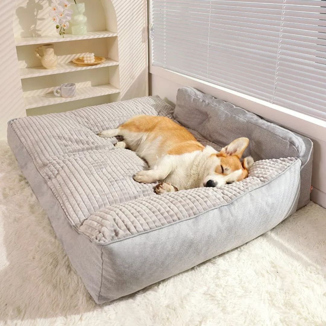 Coussin-pour-chien-xxl-antidérapant-déhoussable-un chien couché sur son grand lit épais au rembourrage épais 100% coton haute densité et housse douce et hypoallergénique de couleur gris dans le salon de l'appartement