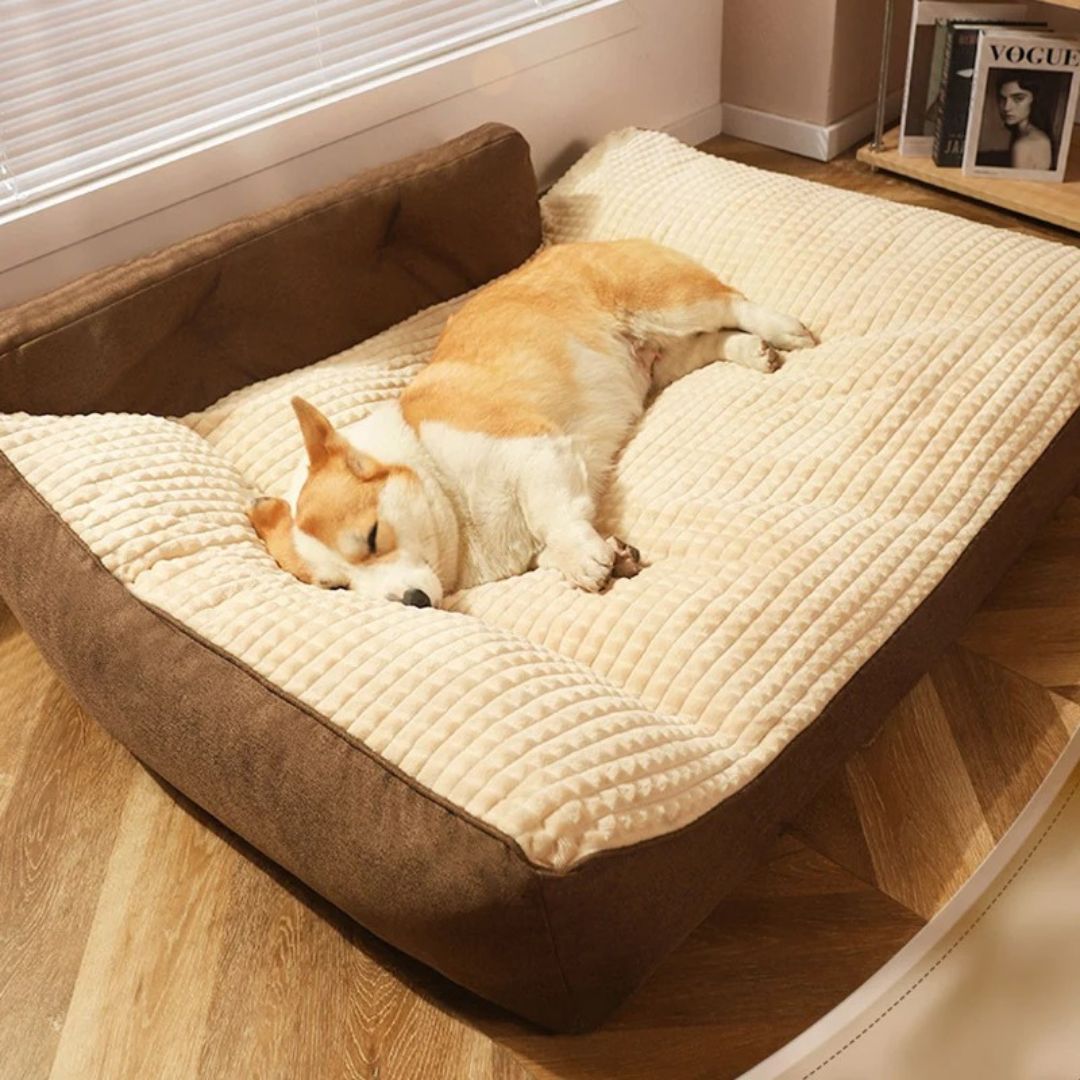 Coussin-pour-chien-xxl-déhoussable-pour-grand-chien-un chien qui dort paisiblement niché dans son lit avec traversin en L et rebord entourant et sécurisant de couleur marron dans le salon de l'appartement 