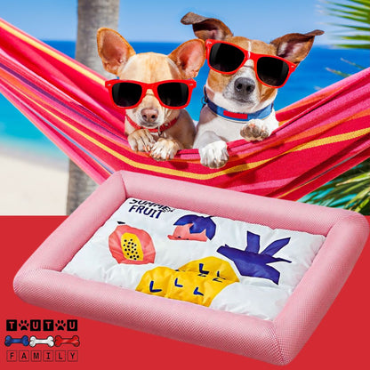 Coussin-rafraichissant-pour-chien-avec-rebord-rose-tapis-rafraichissant-chien-chiot-de-petite-à-moyenne-taille-jusqu'à-20kg-lavable-en-machine-antidérapant-climatisé
