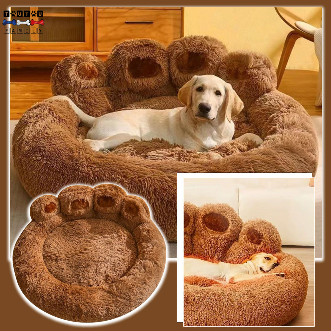 Coussin pour chien - SofaToutou™