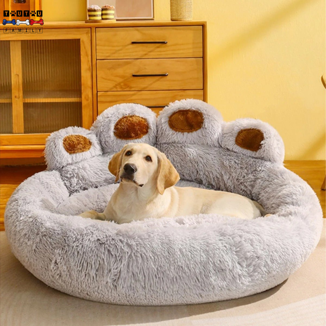 Coussin pour chien - SofaToutou™