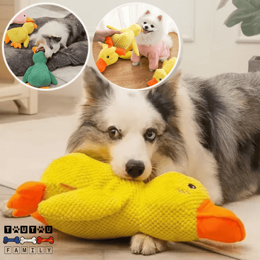 doudou-pour-chien-doux