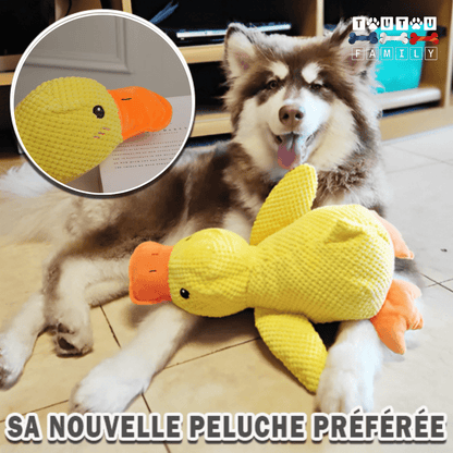doudou-pour-chien-anti-anxiete
