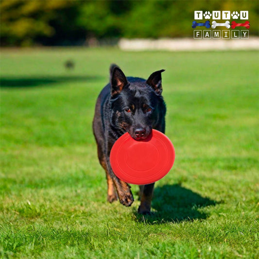 Frisbee-pour-chien-caoutchouc-jeu-extérieur-un-berger-allemand-musclé-qui-court-avec-son-frisbee-dans-sa-mâchoire-dans-le-parc