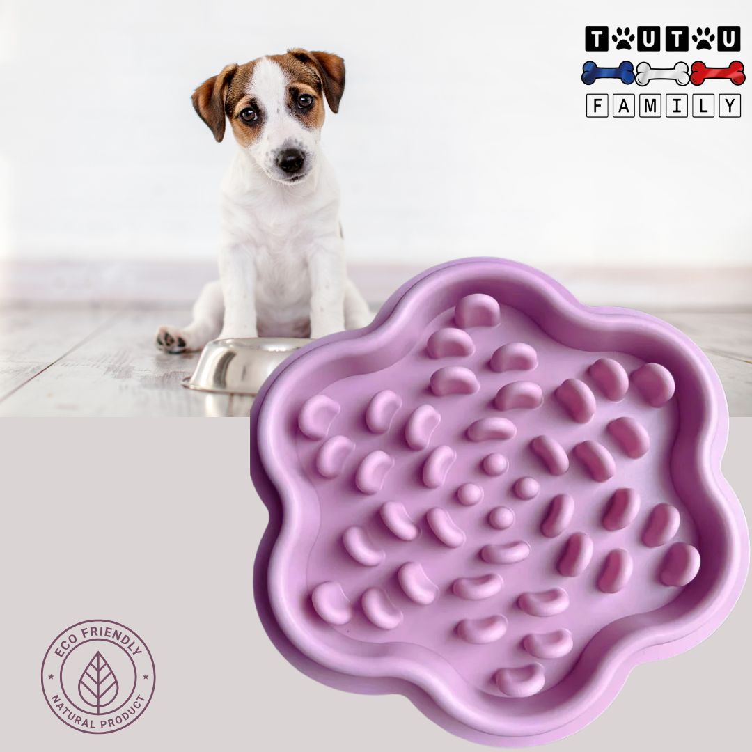 gamelle-anti-glouton-chien-de-léchage-violet