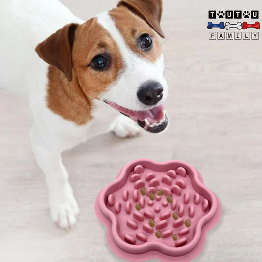 La-gamelle-anti-glouton-chien-et-de-léchage-pour-nourriture-lente-de-nourriture-sèche-ou-humide-un-jack-Russel-qui-mange-dans-sa-gamelle-anti-glouton-chien-rose
