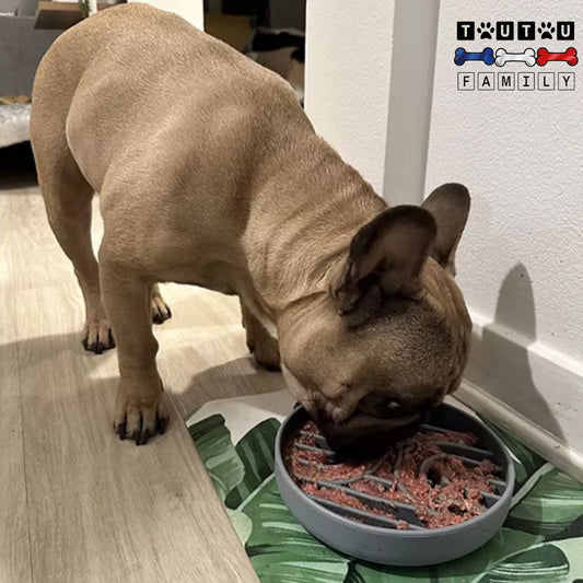 Gamelle-chien-anti-glouton-silicone-alimentation-lente-un-bouledogue-qui-mange-lentement-et-proprement-dans-sa-gamelle-anti-glouton-en-silicone-résistant-et-lavable-en-lave-vaisselle