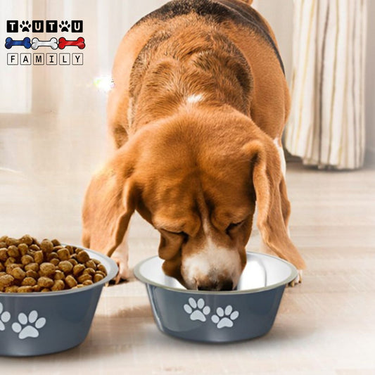 Gamelle chien - RepasToutou™