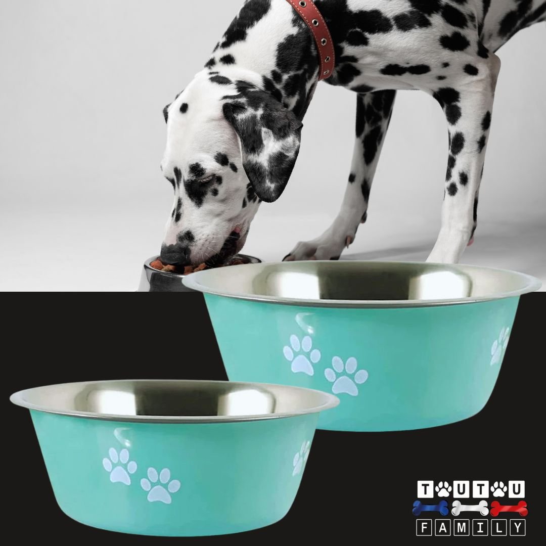 gamelle-chien-inox-2-gamelles-bleues-400ml-800ml-1,5L-2L